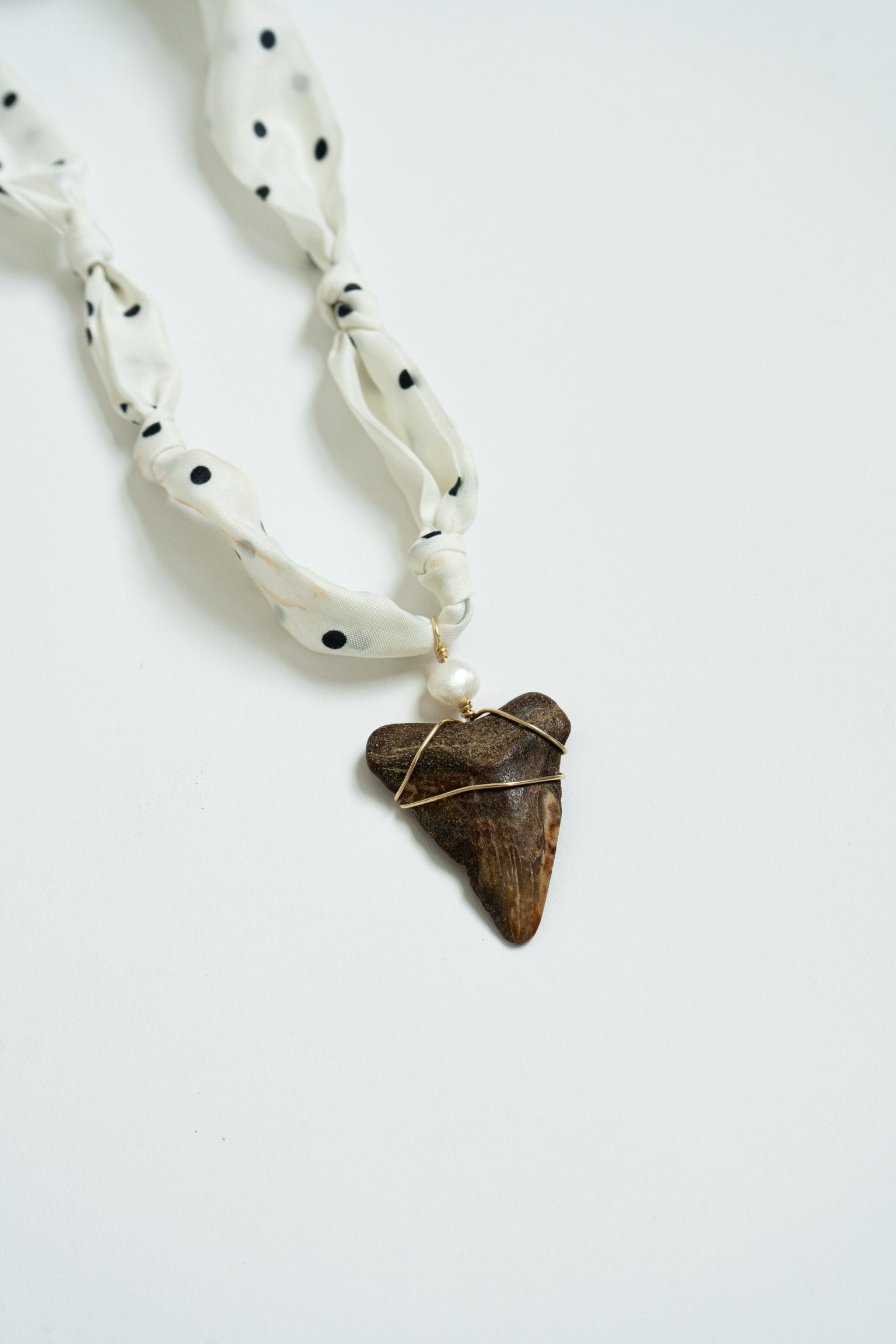 Dolce Shark tooth Necklace #1