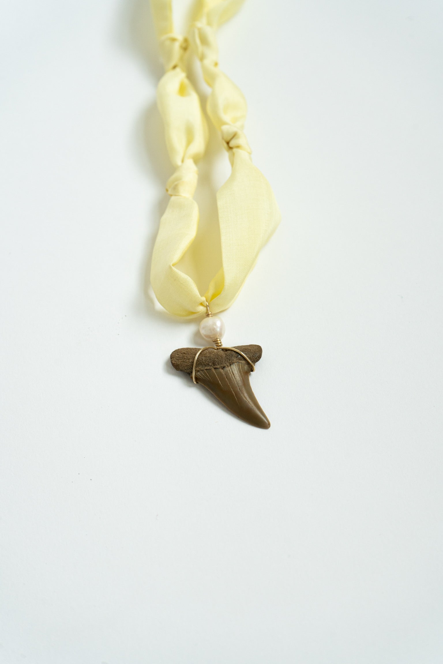 Soleil Shark tooth Necklace #1