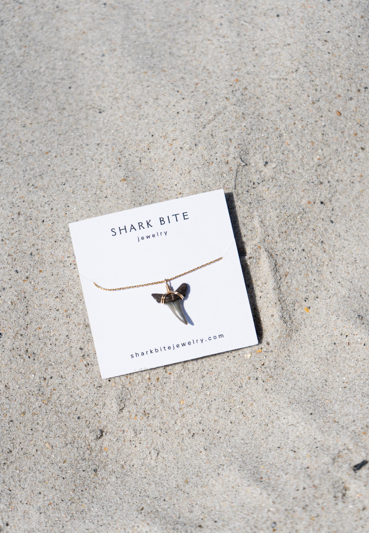 Two toned Sand Tiger shark tooth Ocenao Chain