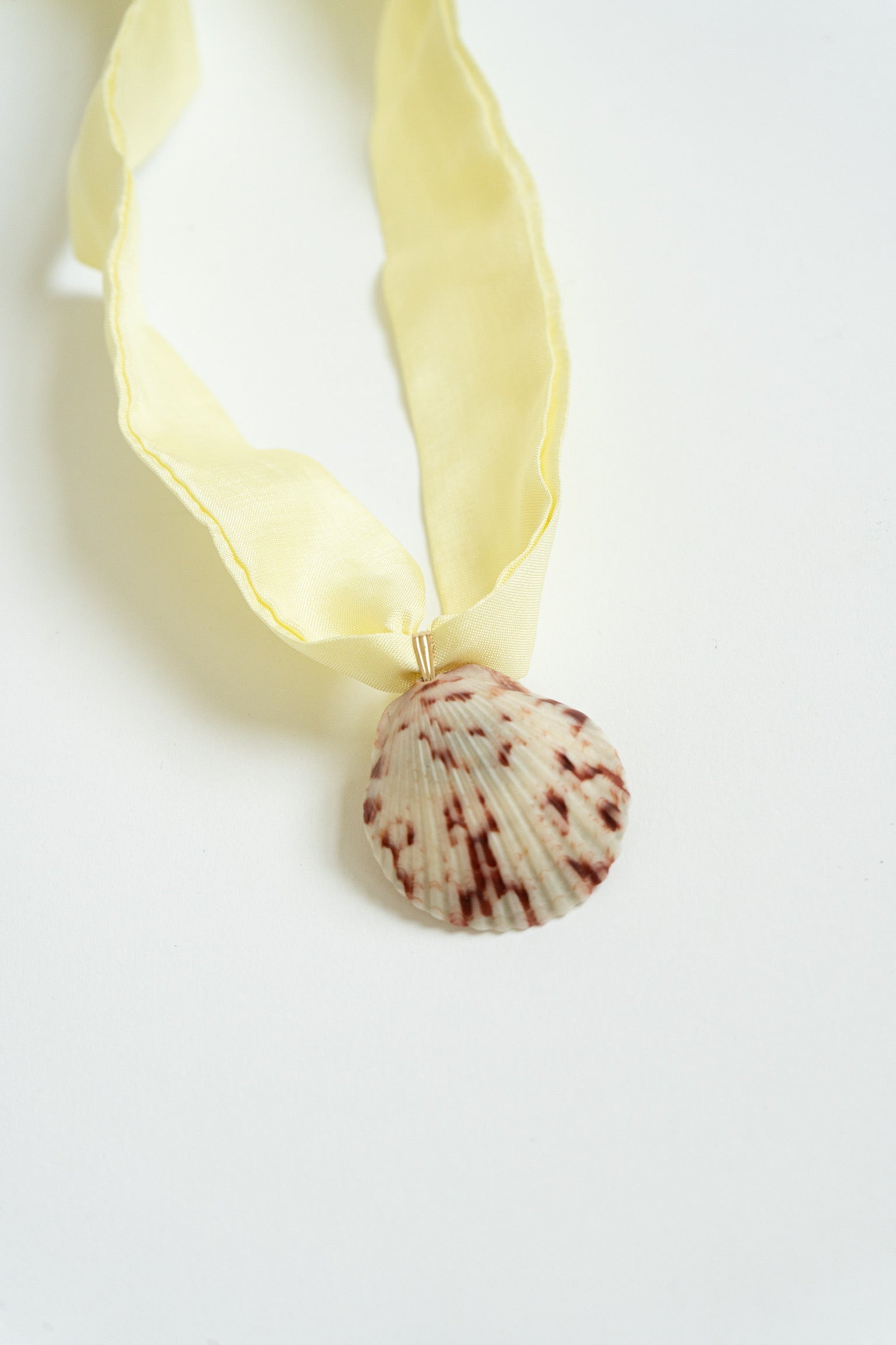 Soleil Shell Necklace #5