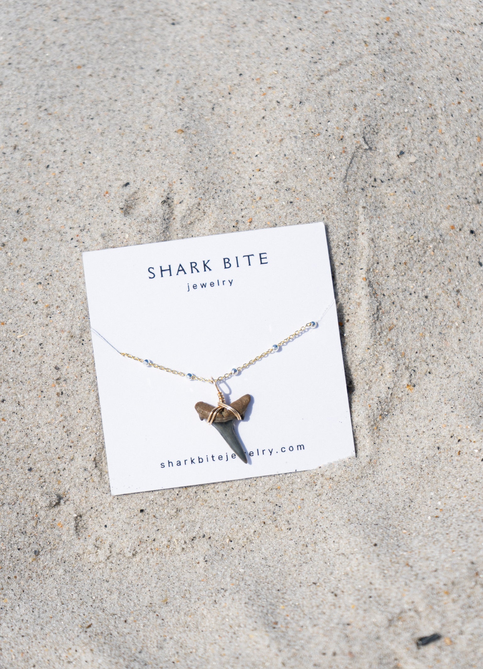 Two toned sand tiger shark tooth Disco Chain