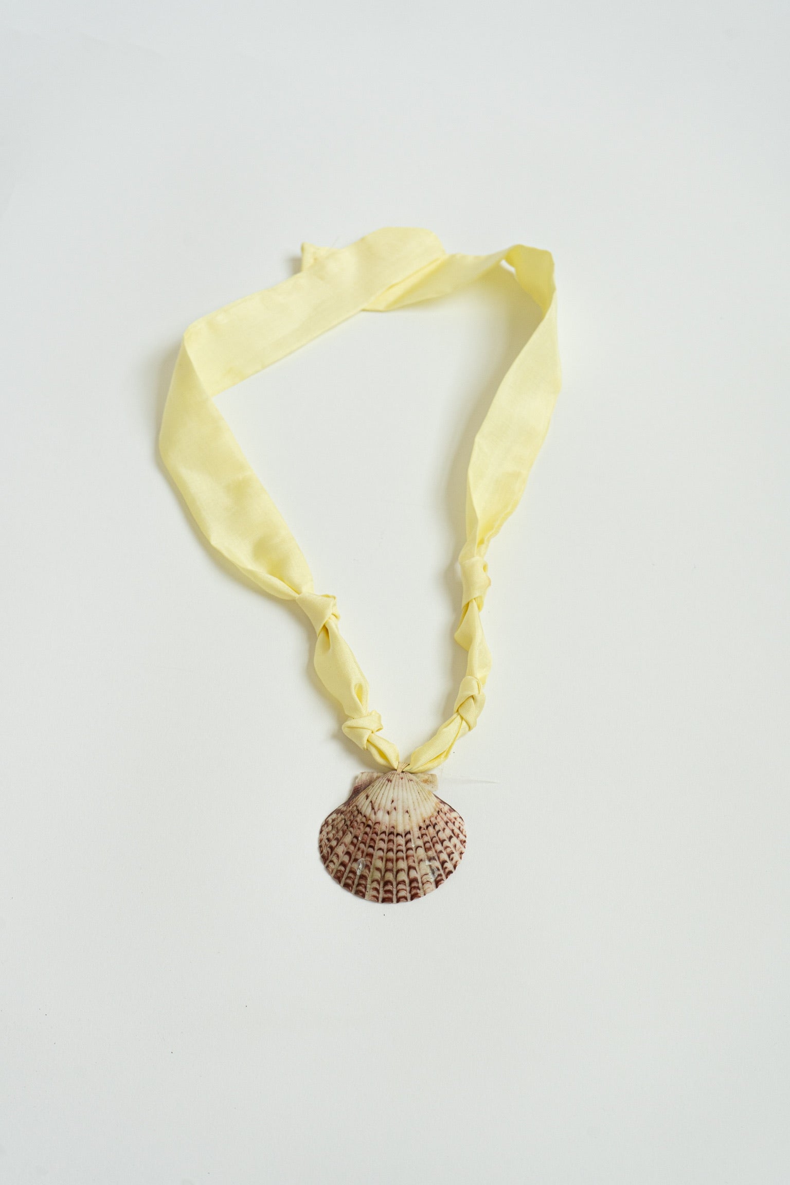 Soleil shell Necklace #1