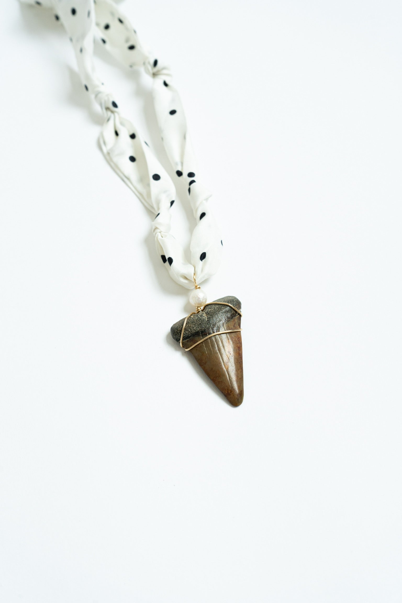 Dolce Shark tooth Necklace #1